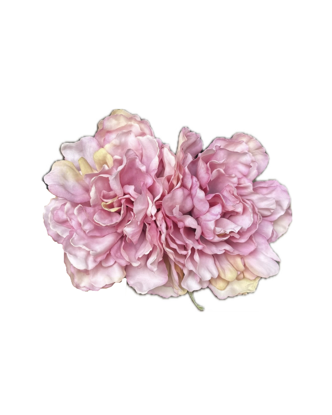 Ramillete dos flores rosas